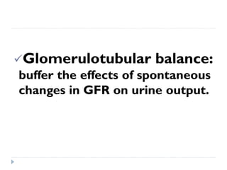 Glomerulotubular balance:
buffer the effects of spontaneous
changes in GFR on urine output.
 