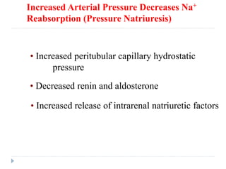 Increased Arterial Pressure Decreases Na+
Reabsorption (Pressure Natriuresis)
• Increased peritubular capillary hydrostatic
pressure
• Decreased renin and aldosterone
• Increased release of intrarenal natriuretic factors
 