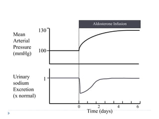 100
130
1
Mean
Arterial
Pressure
(mmHg)
Urinary
sodium
Excretion
(x normal)
“Escape” from Sodium Retention
During Excess Aldosterone Infusion
Aldosterone Infusion
Time (days)
0 2 4 6
 