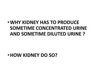 •WHY KIDNEY HAS TO PRODUCE
SOMETIME CONCENTRATED URINE
AND SOMETIME DILUTED URINE ?
•HOW KIDNEY DO SO?
 