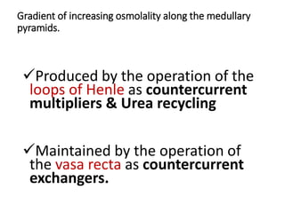 Gradient of increasing osmolality along the medullary
pyramids.
Produced by the operation of the
loops of Henle as countercurrent
multipliers & Urea recycling
Maintained by the operation of
the vasa recta as countercurrent
exchangers.
 
