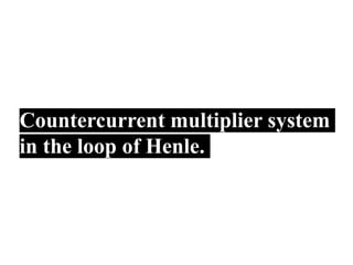 Countercurrent multiplier system
in the loop of Henle.
 