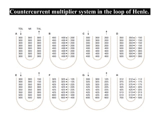 Countercurrent multiplier system in the loop of Henle.
 