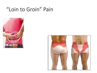 “Loin to Groin” Pain
 