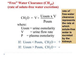 CH2O = V - Uosm x V
Posm
where:
Uosm = urine osmolarity
V = urine flow rate
P = plasma osmolarity
If: Uosm < Posm, CH2O = +
If: Uosm > Posm, CH2O = -
rate of
free-water
clearance
represents
the rate at
which
solute-free
water is
excreted
by the
kidneys
“Free” Water Clearance (CH2O)
(rate of solute-free water excretion)
 