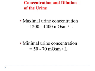 Concentration and Dilution
of the Urine
• Maximal urine concentration
= 1200 - 1400 mOsm / L
• Minimal urine concentration
= 50 - 70 mOsm / L
 