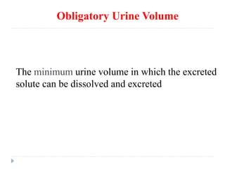 Obligatory Urine Volume
The minimum urine volume in which the excreted
solute can be dissolved and excreted
 