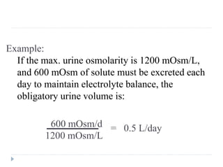 Example:
If the max. urine osmolarity is 1200 mOsm/L,
and 600 mOsm of solute must be excreted each
day to maintain electrolyte balance, the
obligatory urine volume is:
600 mOsm/d
1200 mOsm/L
= 0.5 L/day
 