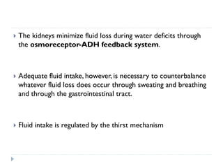  The kidneys minimize fluid loss during water deficits through
the osmoreceptor-ADH feedback system.
 Adequate fluid intake, however, is necessary to counterbalance
whatever fluid loss does occur through sweating and breathing
and through the gastrointestinal tract.
 Fluid intake is regulated by the thirst mechanism
 