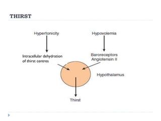 THIRST
Intracellular dehydration
of thirst centres
 