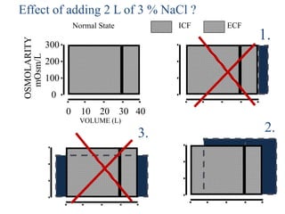 40
300
200
100
0
0 10 20 30
OSMOLARITY
mOsm/L
Normal State
VOLUME (L)
ECF
ICF
1.
2.
3.
Effect of adding 2 L of 3 % NaCl ?
 