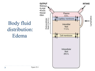 Figure 25-1
Body fluid
distribution:
Edema
 