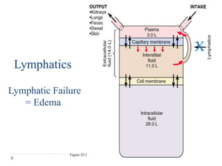 Figure 25-1
Lymphatics
X
Lymphatic Failure
= Edema
 