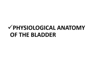 PHYSIOLOGICAL ANATOMY
OF THE BLADDER
 