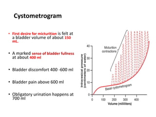 • First desire for micturition is felt at
a bladder volume of about 150
mL.
• A marked sense of bladder fullness
at about 400 ml
• Bladder discomfort 400 -600 ml
• Bladder pain above 600 ml
• Obligatory urination happens at
700 ml
Cystometrogram
 