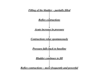 Filling of the bladder – partially filled
Reflex contractions
Acute increase in pressure
Contractions relax spontaneously
Pressure falls back to baseline
Bladder continues to fill
Reflex contractions – more frequently and powerful
 