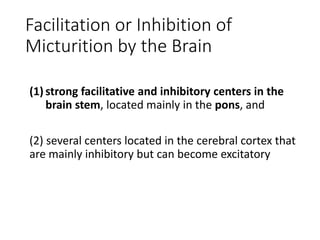 Facilitation or Inhibition of
Micturition by the Brain
(1) strong facilitative and inhibitory centers in the
brain stem, located mainly in the pons, and
(2) several centers located in the cerebral cortex that
are mainly inhibitory but can become excitatory
 