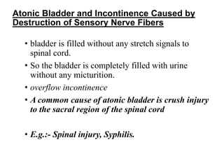 Atonic Bladder and Incontinence Caused by
Destruction of Sensory Nerve Fibers
• bladder is filled without any stretch signals to
spinal cord.
• So the bladder is completely filled with urine
without any micturition.
• overflow incontinence
• A common cause of atonic bladder is crush injury
to the sacral region of the spinal cord
• E.g.:- Spinal injury, Syphilis.
 