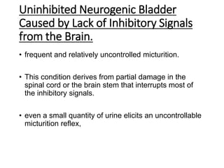 Uninhibited Neurogenic Bladder
Caused by Lack of Inhibitory Signals
from the Brain.
• frequent and relatively uncontrolled micturition.
• This condition derives from partial damage in the
spinal cord or the brain stem that interrupts most of
the inhibitory signals.
• even a small quantity of urine elicits an uncontrollable
micturition reflex,
 