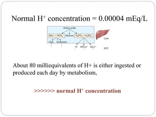 Importance of Buffer Systems
Normal H+ concentration = 0.00004 mEq/L
About 80 milliequivalents of H+ is either ingested or
produced each day by metabolism,
>>>>>> normal H+ concentration
 