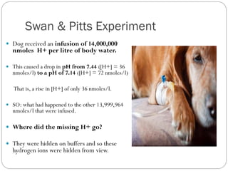 Swan & Pitts Experiment
 Dog received an infusion of 14,000,000
nmoles H+ per litre of body water.
 This caused a drop in pH from 7.44 ([H+] = 36
nmoles/l) to a pH of 7.14 ([H+] = 72 nmoles/l)
That is, a rise in [H+] of only 36 nmoles/l.
 SO: what had happened to the other 13,999,964
nmoles/l that were infused.
 Where did the missing H+ go?
 They were hidden on buffers and so these
hydrogen ions were hidden from view.
 