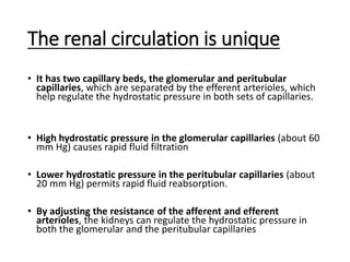 The renal circulation is unique
• It has two capillary beds, the glomerular and peritubular
capillaries, which are separated by the efferent arterioles, which
help regulate the hydrostatic pressure in both sets of capillaries.
• High hydrostatic pressure in the glomerular capillaries (about 60
mm Hg) causes rapid fluid filtration
• Lower hydrostatic pressure in the peritubular capillaries (about
20 mm Hg) permits rapid fluid reabsorption.
• By adjusting the resistance of the afferent and efferent
arterioles, the kidneys can regulate the hydrostatic pressure in
both the glomerular and the peritubular capillaries
 