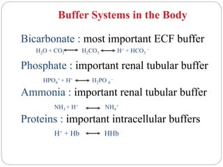 Buffer Systems in the Body
Bicarbonate : most important ECF buffer
Phosphate : important renal tubular buffer
HPO4
= + H+ H2PO 4
-
Ammonia : important renal tubular buffer
NH3 + H+ NH4
+
Proteins : important intracellular buffers
H+ + Hb HHb
H2O + CO2 H2CO3 H+ + HCO3
-
 