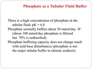 Phosphate as a Tubular Fluid Buffer
There is a high concentration of phosphate in the
tubular fluid; pK = 6.8
Phosphate normally buffers about 30 mmol/day H+
(about 100 mmol/day phosphate is filtered
but 70% is reabsorbed)
Phosphate buffering capacity does not change much
with acid-base disturbances (phosphate is not
the major tubular buffer in chronic acidosis)
 