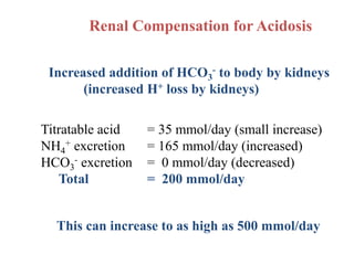 Renal Compensation for Acidosis
Titratable acid = 35 mmol/day (small increase)
NH4
+ excretion = 165 mmol/day (increased)
HCO3
- excretion = 0 mmol/day (decreased)
Total = 200 mmol/day
Increased addition of HCO3
- to body by kidneys
(increased H+ loss by kidneys)
This can increase to as high as 500 mmol/day
 