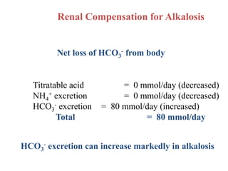 Renal Compensation for Alkalosis
Titratable acid = 0 mmol/day (decreased)
NH4
+ excretion = 0 mmol/day (decreased)
HCO3
- excretion = 80 mmol/day (increased)
Total = 80 mmol/day
Net loss of HCO3
- from body
HCO3
- excretion can increase markedly in alkalosis
 