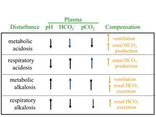 Disturbance pH HCO3
- pCO2 Compensation
metabolic
acidosis
respiratory
acidosis
metabolic
alkalosis
respiratory
alkalosis
Classification of Acid-Base Disturbances
Plasma
ventilation
renal HCO3
production
renal HCO3
production
ventilation
renal HCO3
excretion
renal HCO3
excretion
 