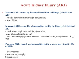 Acute Kidney Injury (AKI)
• Prerenal AKI - caused by decreased blood flow to kidneys (~ 50-55% of
AKI)
- volume depletion (hemorrhage, dehydration)
- heart failure
• Intrarenal AKI - caused by abnormalities within the kidneys (~ 35-40% of
AKI)
- small vessel or glomerular injury (vasculitis,
acute glomerulonephritis, etc)
- renal tubular injury (tubular necrosis – ischemia, toxins, heavy metals, CCl4,
etc)
• Postrenal AKI - caused by abnormalities in the lower urinary tract (~ 5%
of AKI)
- kidney stones
- prostatic hypertrophy
- bladder cancer
 