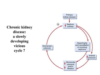 Chronic kidney
disease:
a slowly
developing
vicious
cycle ?
 