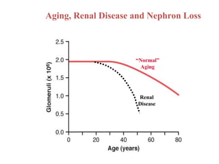 Renal
Disease
“Normal”
Aging
Aging, Renal Disease and Nephron Loss
 