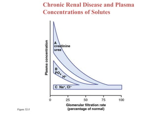 Figure 32-5
Chronic Renal Disease and Plasma
Concentrations of Solutes
 