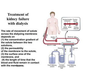 Treatment of
kidney failure
with dialysis
Figure 32-8
The rate of movement of solute
across the dialyzing membrane
depends on
(1) the concentration gradient of
the solute between the two
solutions,
(2) the permeability
of the membrane to the solute,
(3) the surface area of the
membrane, and
(4) the length of time that the
blood and fluid remain in contact
with the membrane.
 