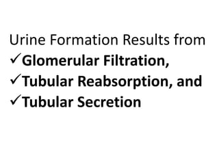 Urine Formation Results from
Glomerular Filtration,
Tubular Reabsorption, and
Tubular Secretion
 