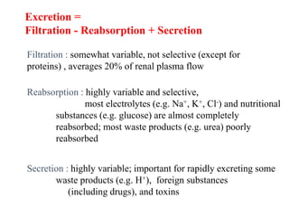Excretion =
Filtration - Reabsorption + Secretion
Filtration : somewhat variable, not selective (except for
proteins) , averages 20% of renal plasma flow
Reabsorption : highly variable and selective,
most electrolytes (e.g. Na+, K+, Cl-) and nutritional
substances (e.g. glucose) are almost completely
reabsorbed; most waste products (e.g. urea) poorly
reabsorbed
Secretion : highly variable; important for rapidly excreting some
waste products (e.g. H+), foreign substances
(including drugs), and toxins
 