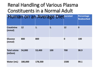 Substance Filtered Reabsorbed Secreted Excreted Percentage
Reabsorbed
Creatinine
(mmol)
12 1v 1v 12 0
Glucose
(mmol)
800 800 0 100
Total solute
(mOsm)
54,000 53,400 100 700 98.9
Water (mL) 180,000 178,500 1500 99.1
Renal Handling of Various Plasma
Constituents in a Normal Adult
Human on an Average Diet
 