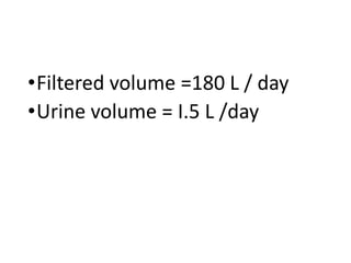 •Filtered volume =180 L / day
•Urine volume = I.5 L /day
 
