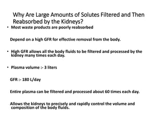 Why Are Large Amounts of Solutes Filtered and Then
Reabsorbed by the Kidneys?
• Most waste products are poorly reabsorbed
Depend on a high GFR for effective removal from the body.
• High GFR allows all the body fluids to be filtered and processed by the
kidney many times each day.
• Plasma volume :- 3 liters
GFR :- 180 L/day
Entire plasma can be filtered and processed about 60 times each day.
Allows the kidneys to precisely and rapidly control the volume and
composition of the body fluids.
 