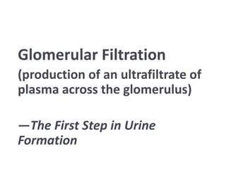 Glomerular Filtration
(production of an ultrafiltrate of
plasma across the glomerulus)
—The First Step in Urine
Formation
 