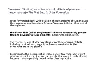 Glomerular Filtration(production of an ultrafiltrate of plasma across
the glomerulus)—The First Step in Urine Formation
• Urine formation begins with filtration of large amounts of fluid through
the glomerular capillaries into Bowman’s capsule (dilated, blind end of
the nephron).
• the filtered fluid (called the glomerular filtrate) is essentially protein-
free and devoid of cellular elements, including red blood cells.
• The concentrations of other constituents of the glomerular filtrate,
including most salts and organic molecules, are similar to the
concentrations in the plasma.
• Exceptions to this generalization include a few low-molecular-weight
substances, such as calcium and fatty acids, that are not freely filtered
because they are partially bound to the plasma proteins.
 
