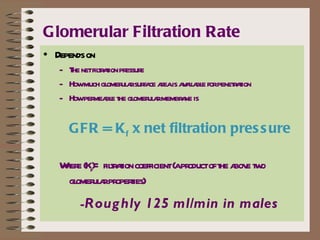 Renal physiology | PPT