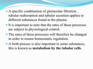 Forces involved
in glomerular
filtration

( Widmaier E. et al,
2008)
 