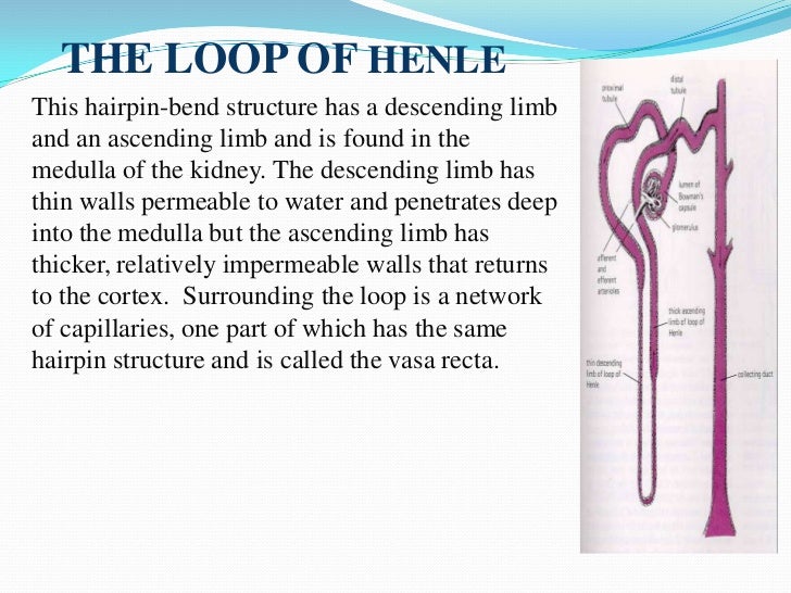 How To Know If Solution Is Isotonic Hypotonic Or Hypertonic