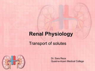 Renal Physiology
Transport of solutes


           Dr. Sara Reza
           Quaid-e-Azam Medical College
 