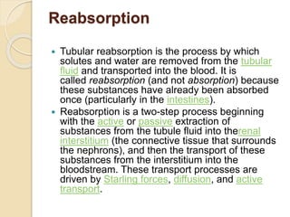 Reabsorption
 Tubular reabsorption is the process by which
solutes and water are removed from the tubular
fluid and transported into the blood. It is
called reabsorption (and not absorption) because
these substances have already been absorbed
once (particularly in the intestines).
 Reabsorption is a two-step process beginning
with the active or passive extraction of
substances from the tubule fluid into therenal
interstitium (the connective tissue that surrounds
the nephrons), and then the transport of these
substances from the interstitium into the
bloodstream. These transport processes are
driven by Starling forces, diffusion, and active
transport.
 