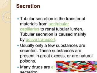 Secretion
 Tubular secretion is the transfer of
materials from peritubular
capillaries to renal tubular lumen.
Tubular secretion is caused mainly
by active transport.
 Usually only a few substances are
secreted. These substances are
present in great excess, or are natural
poisons.
 Many drugs are eliminated by tubular
 