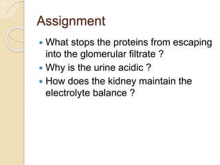 Assignment
 What stops the proteins from escaping
into the glomerular filtrate ?
 Why is the urine acidic ?
 How does the kidney maintain the
electrolyte balance ?
 